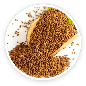 Dodder Seed